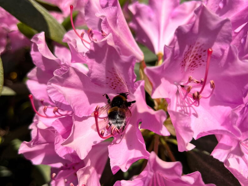 23-06-03 16-51-27 5804